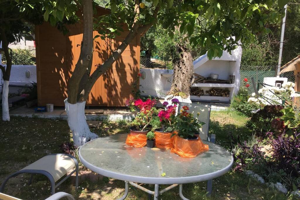Villa Stephanie Palaiokastritsa Esterno foto