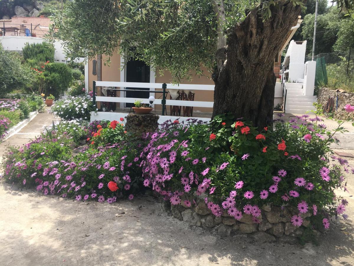 Villa Stephanie Palaiokastritsa Esterno foto